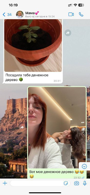 Горшок с молодым растением в интерьере: видна почва и мягкий свет, создающий домашнюю атмосферу заботы.