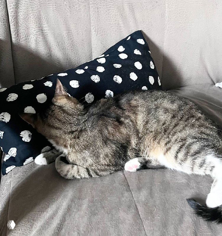 Вероятно, может быть, скорее всего, наверное…