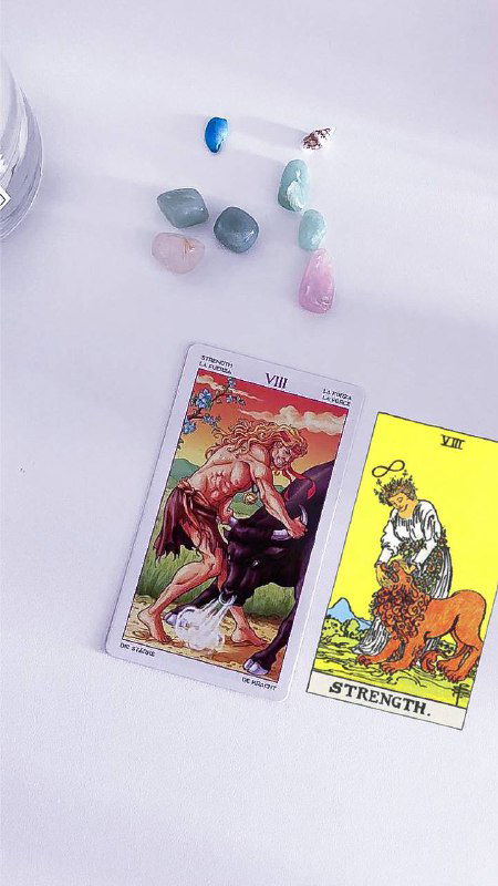 Сила в колоде «Колесо Года» 🦁