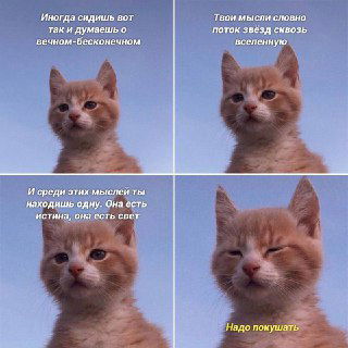 Четырёхкадровый комикс с котом, размышляющим о бессмысленности и вселенной, в последнем кадре — шутливое «Надо покушать».