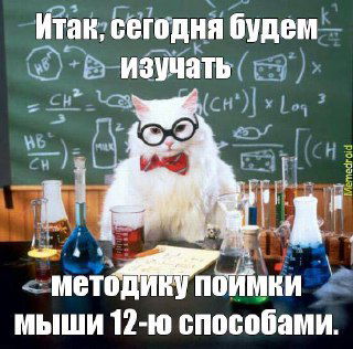 Кот в очках у школьной доски и лабораторных флаконов; подпись про изучение методики — юмористический мем о педагогической роли и методике Жреца.
