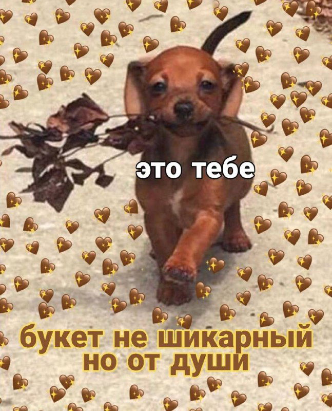 Маленькая такса бежит с небольшим букетом сухих цветов; тёплая юмористическая картинка с добрым посылом и милой эстетикой.