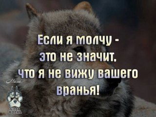 Мем с портретом серого волка на тёмном размытом фоне и текстом «Если я молчу — это не значит, что я не вижу вашего вранья!».