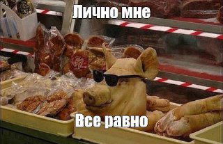 Мем с головой поросёнка в витрине мясного прилавка и текстом «Лично мне — Все равно», сатирический образ без эмоций.