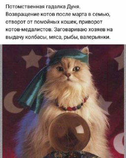 Для Таро обязательно нужен ДАР?