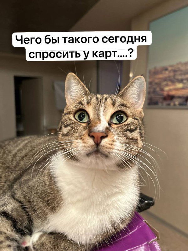 Самый простой способ читать карты по системе