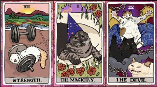 Правило №2. Уважай старших 😎