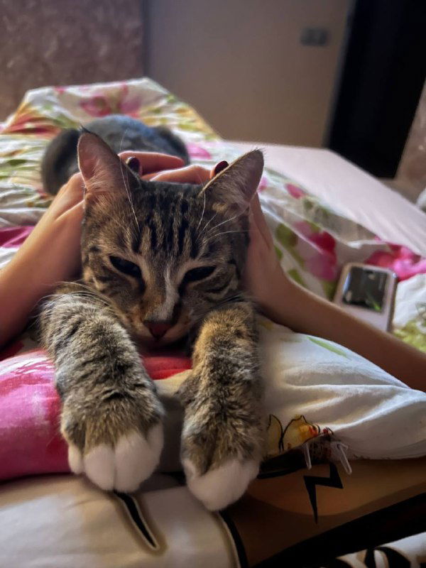 Почему не получается гадать себе и расклады не сбываются