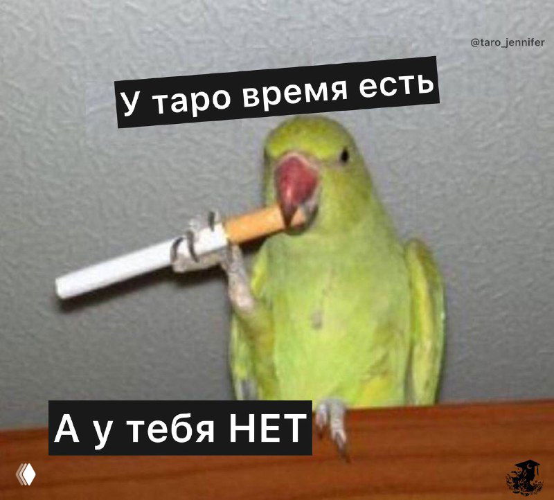 Как масти влияют на срок в Таро?