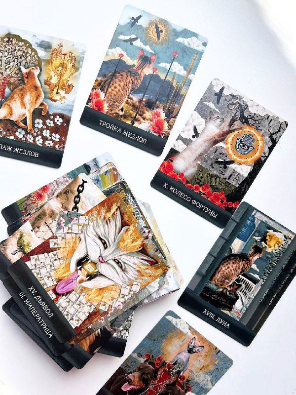 Разбор колоды «Таро удивительных кошек»