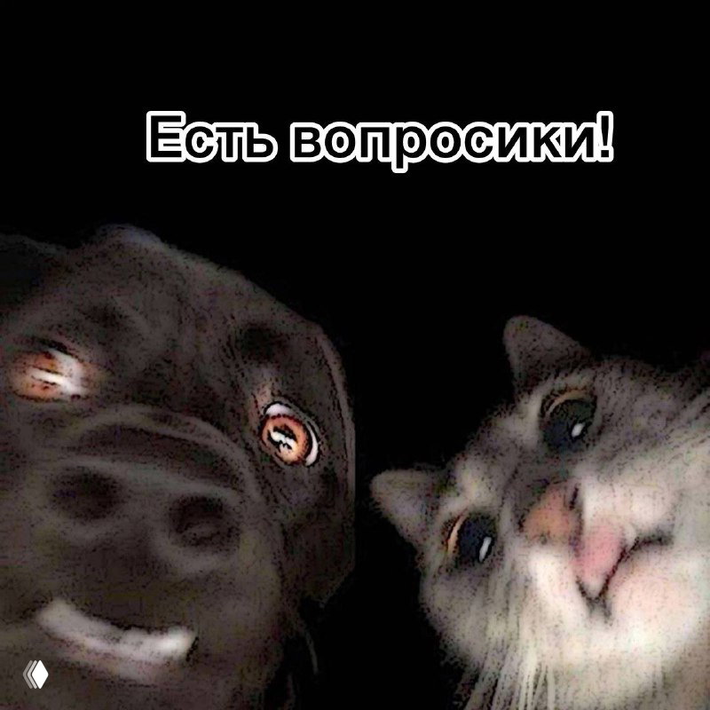 Практические группы Таро: формат, кураторы и даты