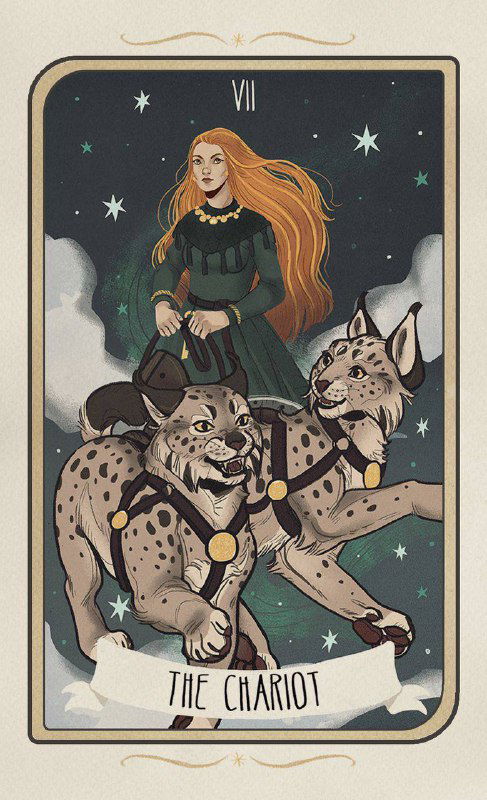 Рисунок карты «The Chariot»: юная женщина на колеснице, два догоподобных существа впереди, ночное звездное небо, стильная карточная иллюстрация