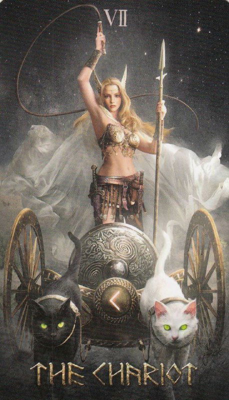 Драматичная карта «The Chariot»: воинственная женщина на колеснице с двумя кошками в упряжи, тёмный мистический стиль для заставки