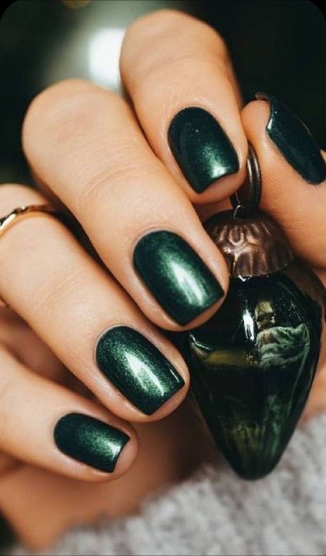 Маникюр в стиле змеи 2025