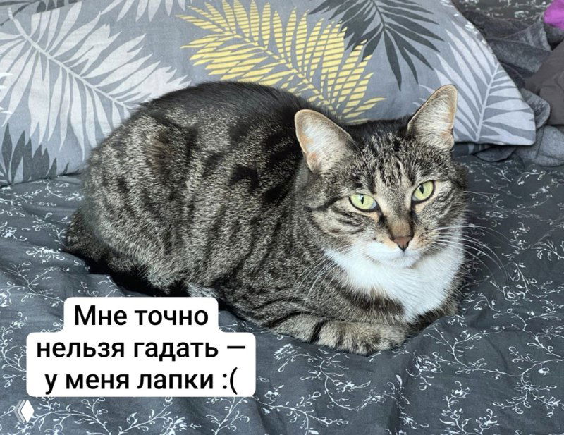 Когда нельзя гадать на Таро? Беременность, болезнь, алкоголь