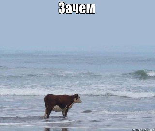 Энергия предназначения — Солнце