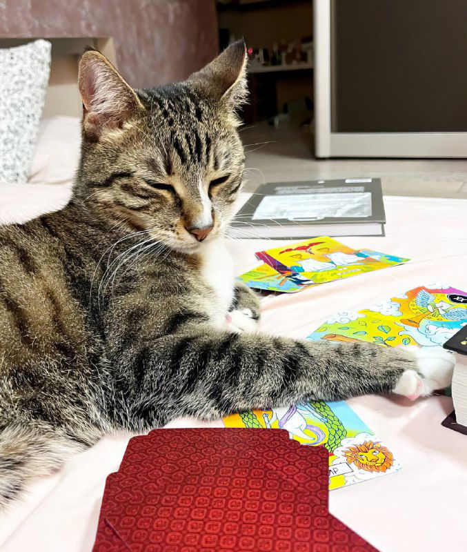 Можно ли давать ребёнку колоду Таро?