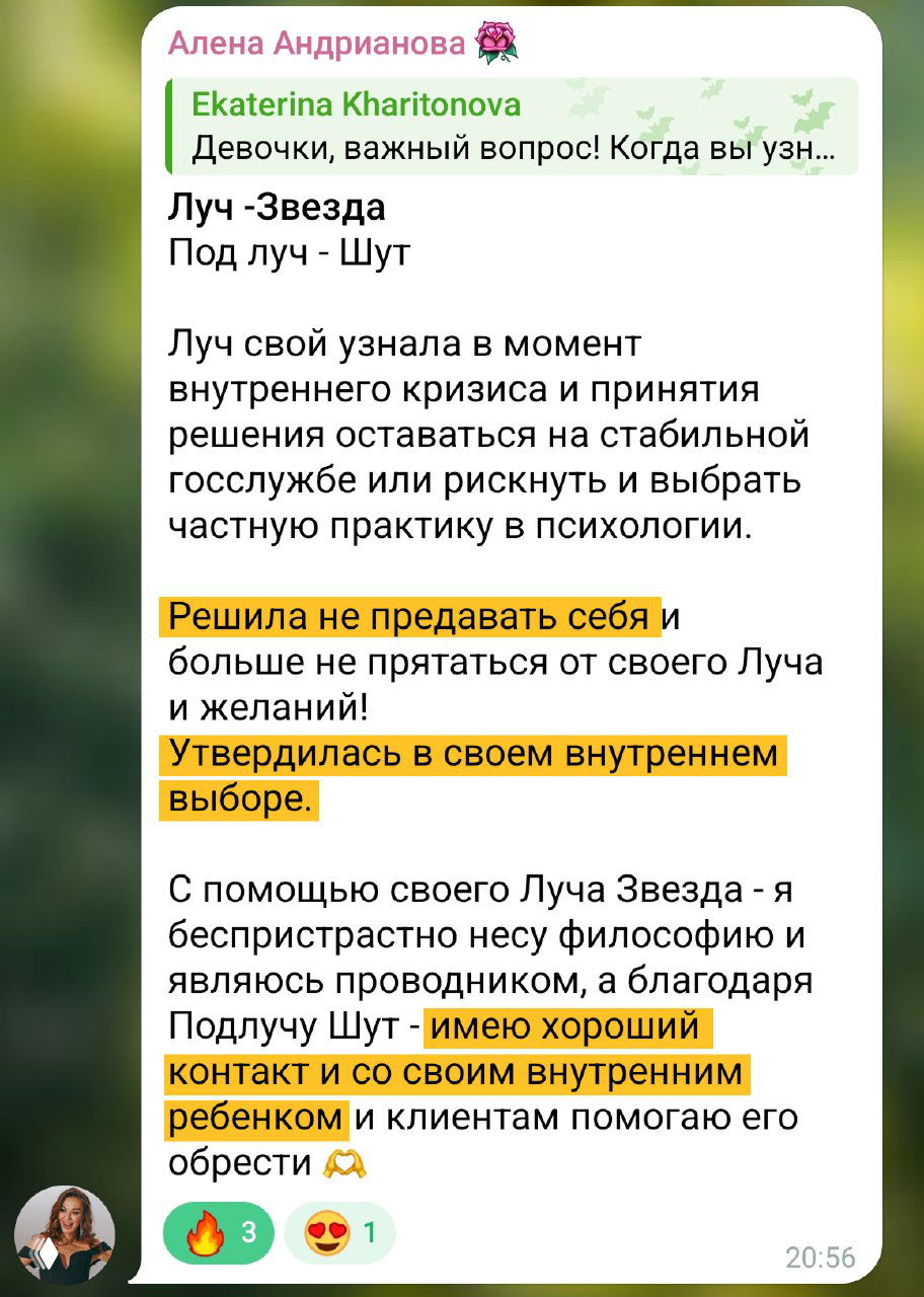 Фрагмент чата с рассказами о том, что знание Луча помогло обрести уверенность и начать собственные проекты — сообщения в диалоге Telegram.