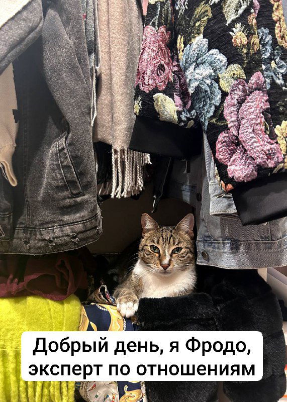 Вас не любит свекровь? Тогда мы идем к вам!