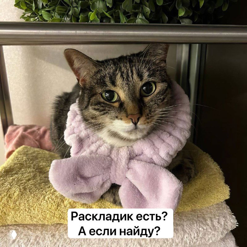 Спроси у опытного коллеги и получи ответ