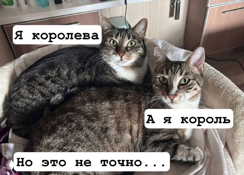 Карты, которые делают тарологам больно...