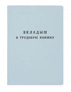 Вкладыш в трудовую книжку светло‑голубого цвета на фоне, служит иллюстрацией к заметке о ведении кадровой документации и учёте.