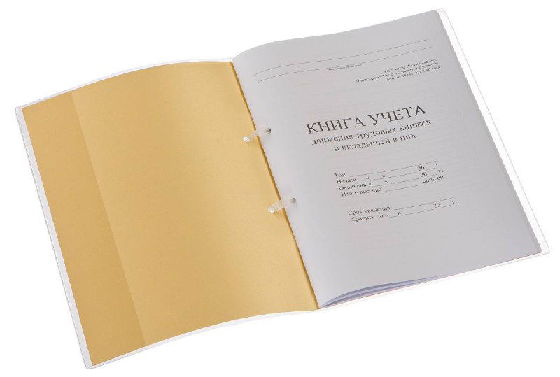Открытая книга учёта с титульной страницей «Книга учёта», демонстрация образца учётного регистра для кадрового дела и приёмов учёта.