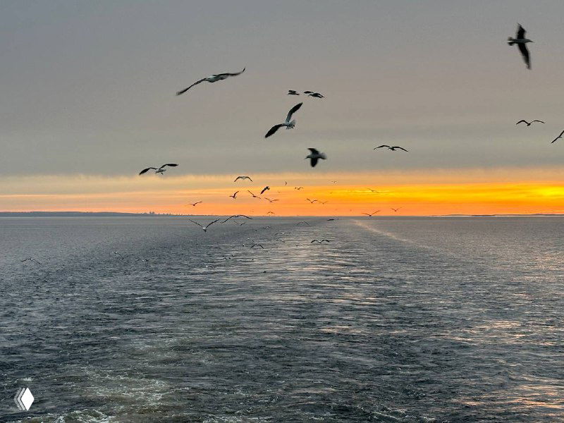 Актуализация сальдо ЕНС: варианты действий