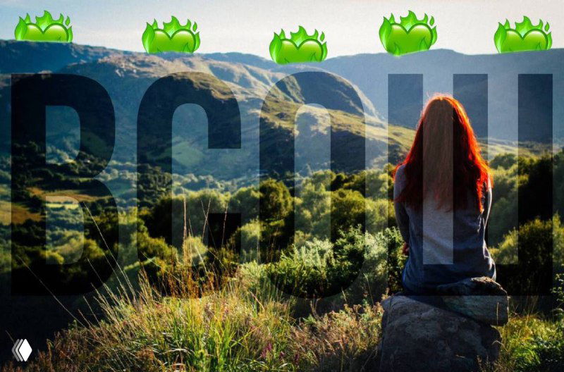 ВСОШ: как работает Всероссийская олимпиада школьников