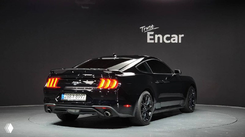 Задний вид чёрного Ford Mustang Coupe 2021 в студии — видны характерные трёхсекционные фонари, багажник и спортивный диффузор на фото.