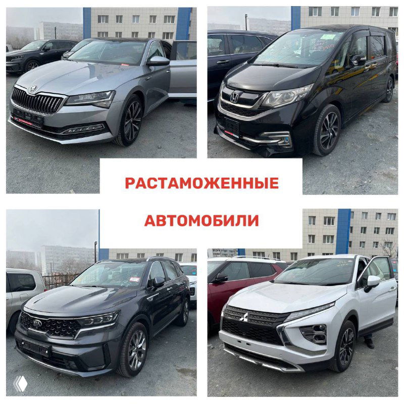 Коллаж из фотографий растаможенных машин: минивэн, лифтбек и внедорожники, видны наклейки и подготовка к выдаче покупателям в холодную погоду.