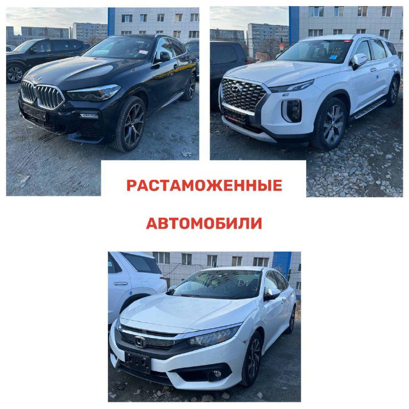 Фото растаможенных автомобилей: видны как универсалы, так и компактные хэтчбеки, сцена — парковка компании после прохождения лабораторной проверки.