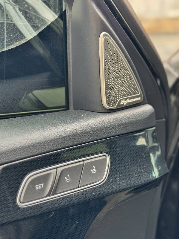 Деталь дверной панели Hyundai Palisade: динамик, кнопки памяти сидений и элементы отделки — крупный план аудиосистемы и управления.