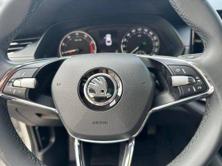 Крупный план рулевого колеса Skoda Octavia с фирменным логотипом, элементы управления на руле и фрагмент приборной панели видны для оценки комплектации.