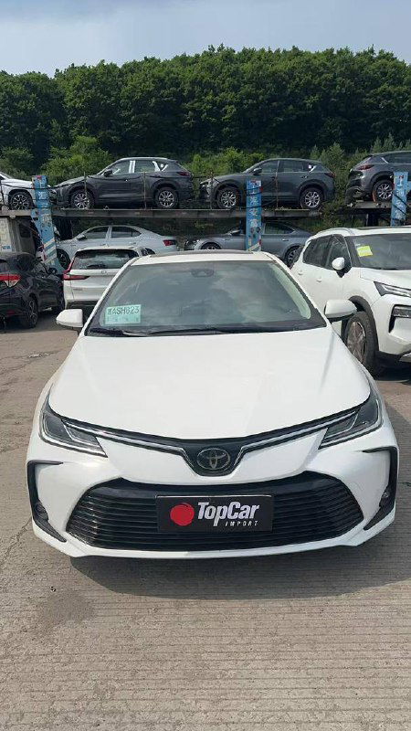 Toyota Corolla 2022, вид спереди по центру; белый автомобиль стоит в ряду, на заднем плане видны поддоны и подъемные конструкции с автомобилями на площадке импорта.