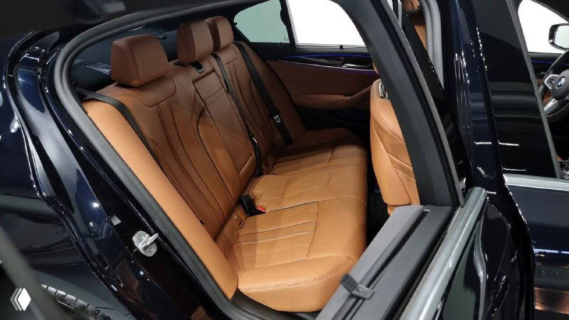 Задние сиденья BMW 520i в коричневой коже, вид с открытой задней двери, показано пространство для пассажиров и подголовники.