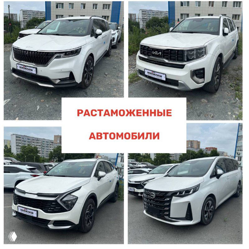 Коллаж белых и серых автомобилей на фоне многоэтажек с надписью «РАСТАМОЖЕННЫЕ АВТОМОБИЛИ», демонстрация разных моделей для отчёта.