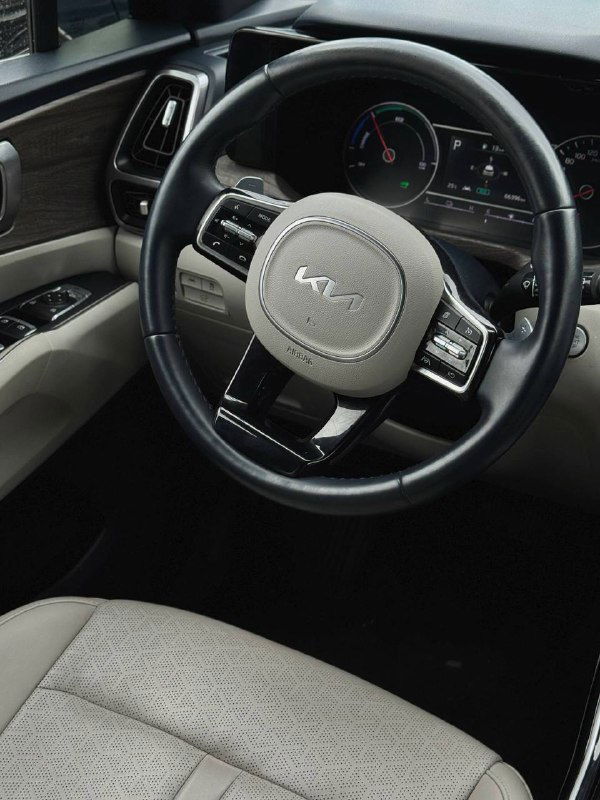Салон KIA Sorento: крупный план руля с фирменным логотипом KIA, видны приборная панель и вставки отделки интерьера.