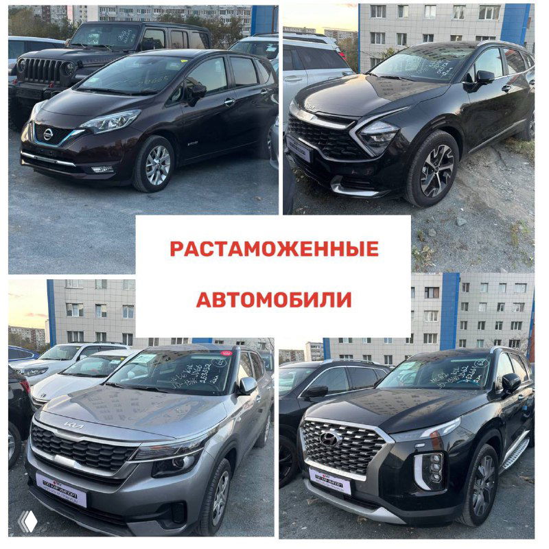 Фотоколлаж растаможенных автомобилей: компактные хэтчбеки и кроссоверы, видны номера и таблички на парковке.