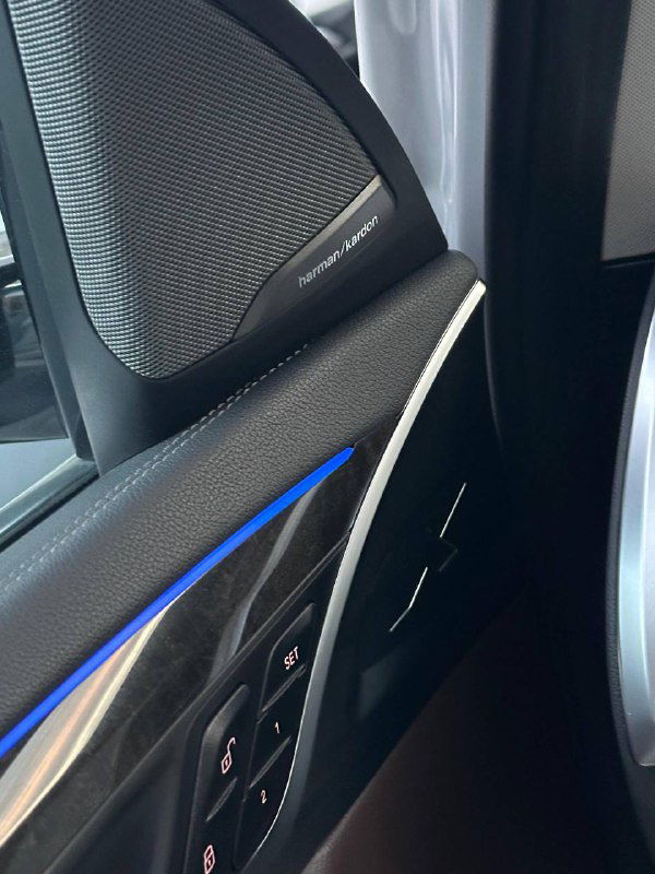 Дверная панель BMW X3 с динамиком и подсветкой — видно оформление акустики Harman Kardon и декоративную подсветку в проёме двери.
