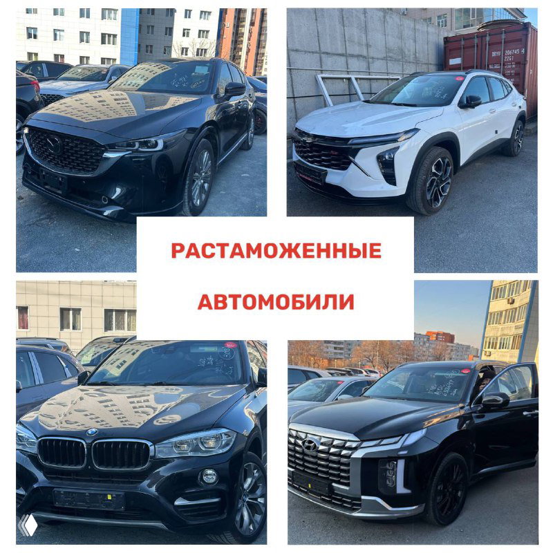 Коллаж с изображением передней части нескольких автомобилей, включая Mazda и Hyundai, на парковке в урбанистической среде; снимок из отчёта за неделю.