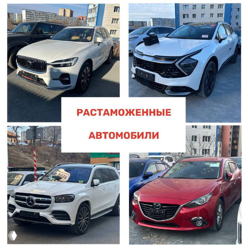 Фотоколлаж растаможенных автомобилей: кроссоверы и легковые авто на площадке, кузова разного цвета, машины подготовлены к выдаче покупателям.