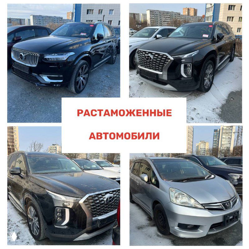 Коллаж с растаможенными авто, включающими премиальные и массовые модели; фотографии сделаны возле склада с городской застройкой на заднем плане.