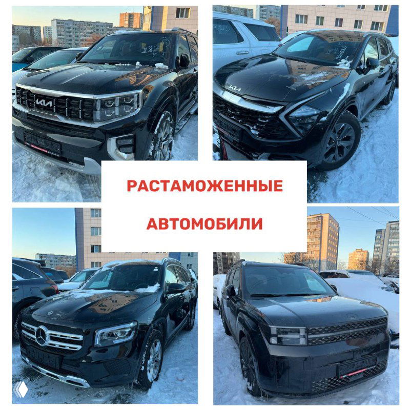 Ряд растаможенных машин разных брендов в дневное время: модели Kia, Mercedes и другие на снеговом покрытии стоянки.