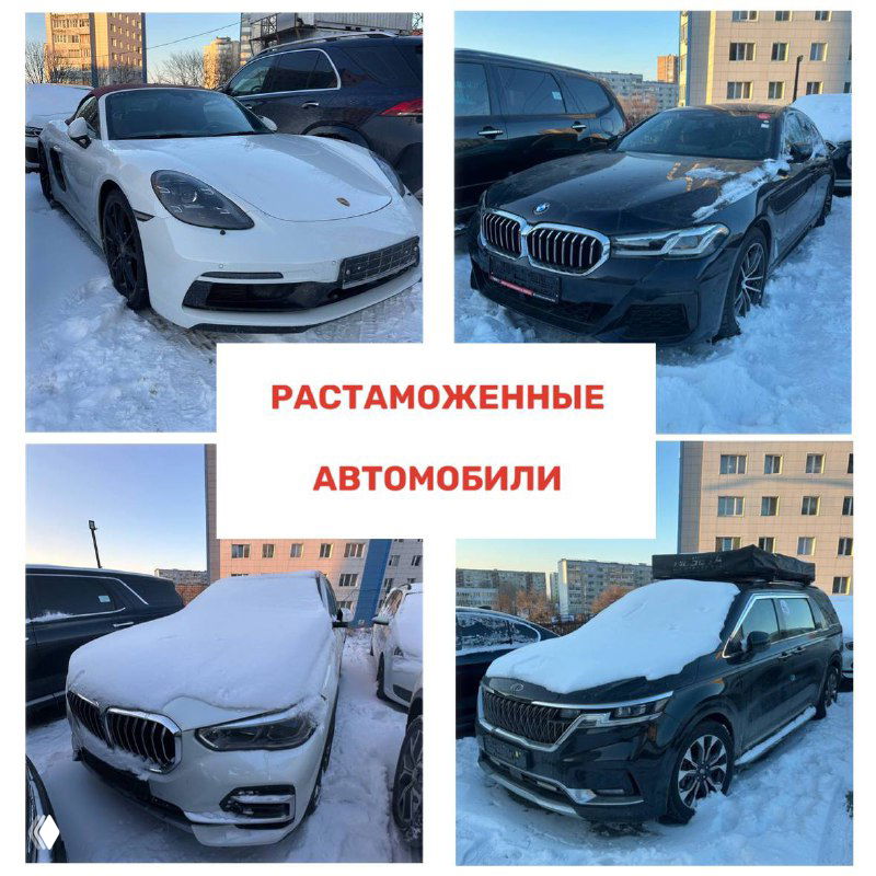 Коллаж белых и чёрных седанов и кроссоверов, некоторые покрыты снегом, на городском автопарковом фоне с многоэтажками.