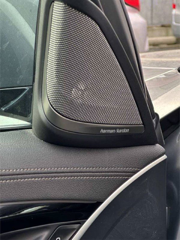 Крупный план динамика Harman Kardon в дверной панели BMW 5‑Series — вид на решётку акустического блока и декоративную отделку рядом с ней.
