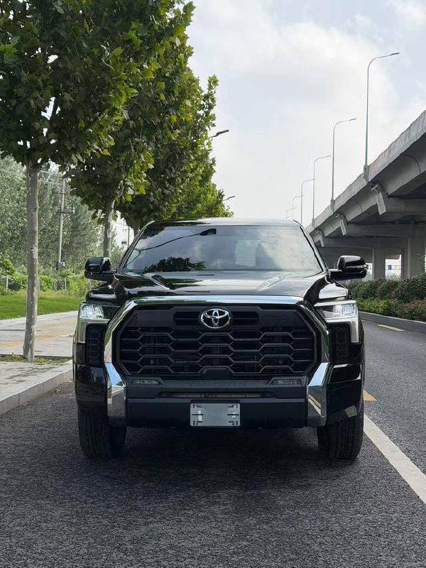 Фронтальная проекция чёрного Toyota Tundra с массивной решёткой и логотипом Toyota на фоне дерева и путепровода.