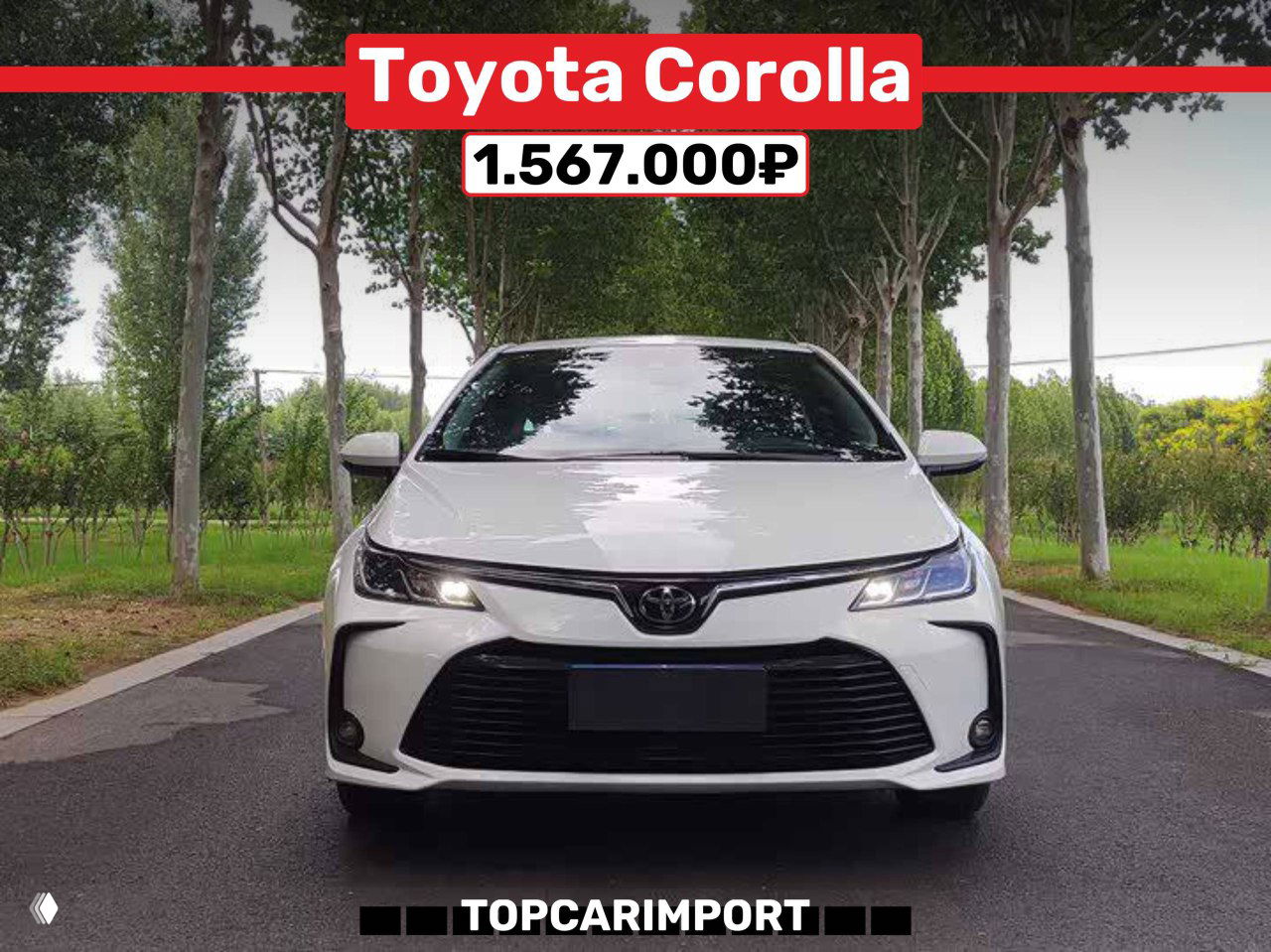 Фронтальный снимок белого Toyota Corolla 2023 года на дороге среди деревьев с указанием цены 1.567.000₽