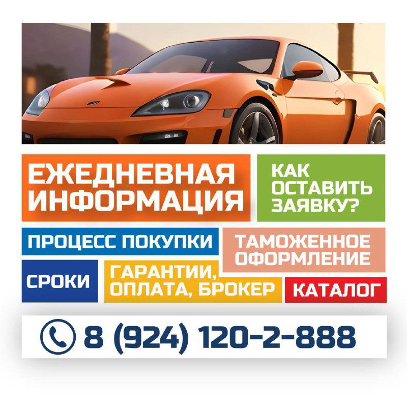 Ежедневная информация: сроки, процесс и заявки