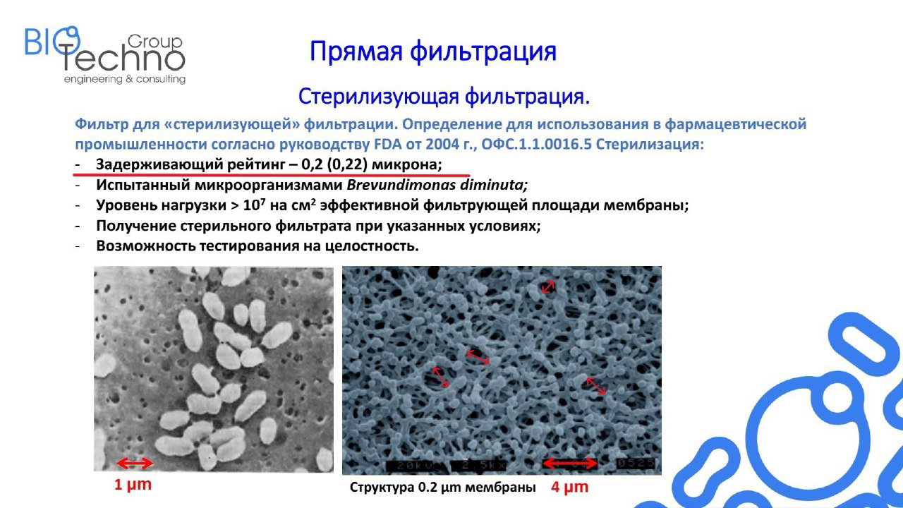 Микрофотографии структуры мембраны с пометками 1 µm, 4 µm и подписью «Структура 0.2 µm» — визуализация пористой структуры мембраны фильтра.